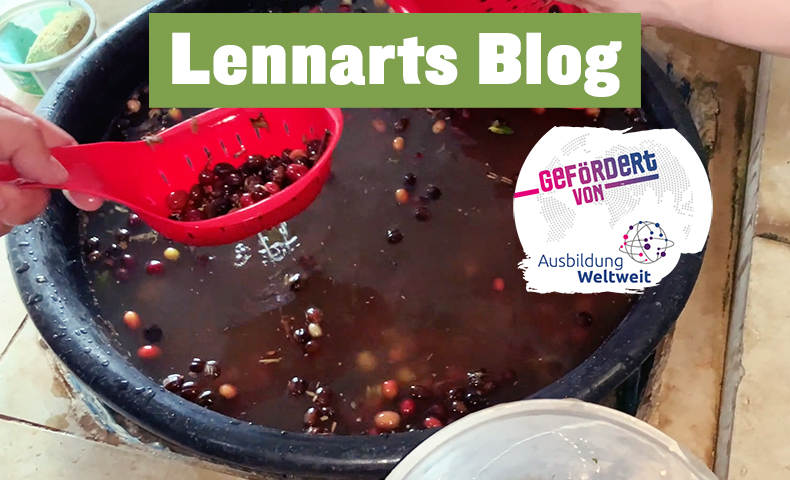 Lennarts Blog - Floater